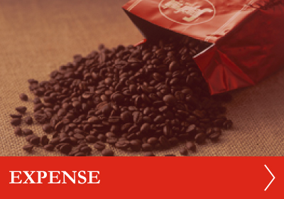 EXPENSE